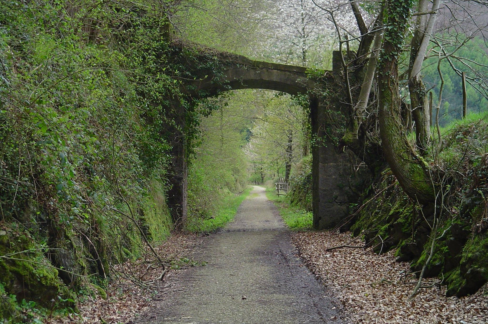 A view under stony arched bridge over a narrow paved road.