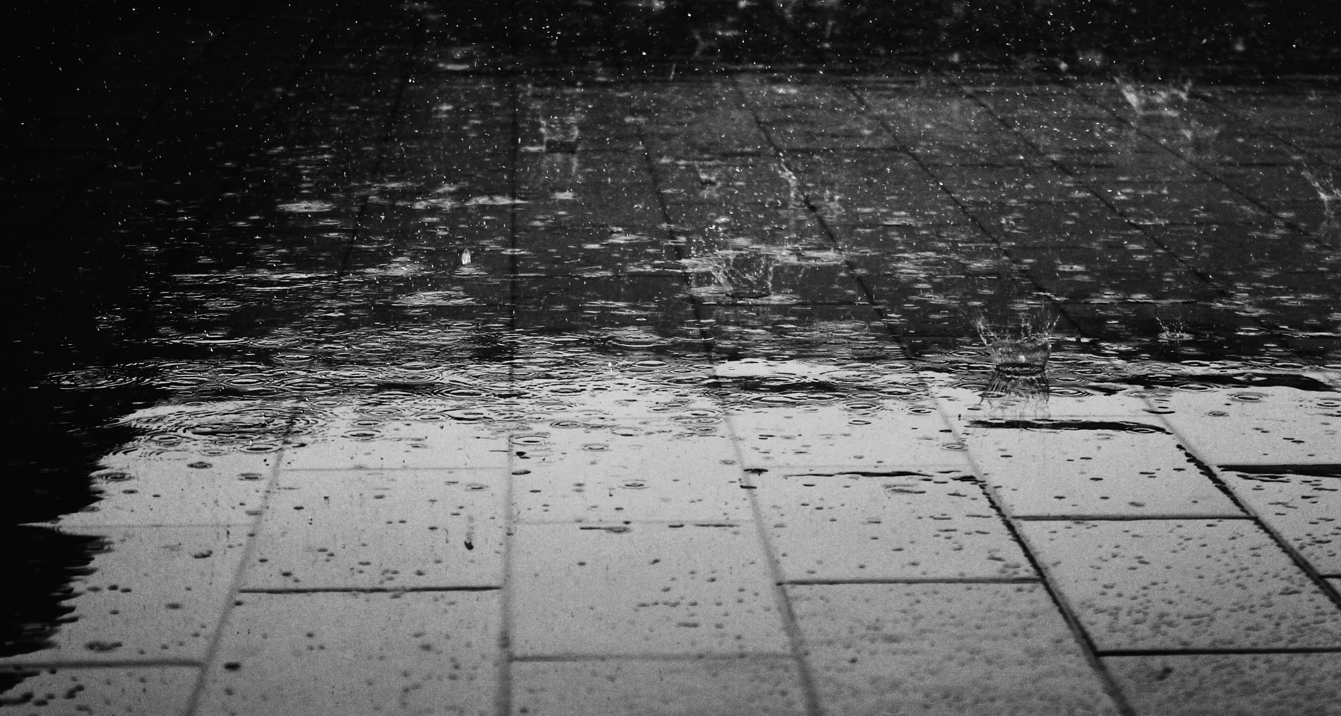 Alt Text: Monochrome photograph of a rain shower on a brick walkway. Image via Pixabay.
