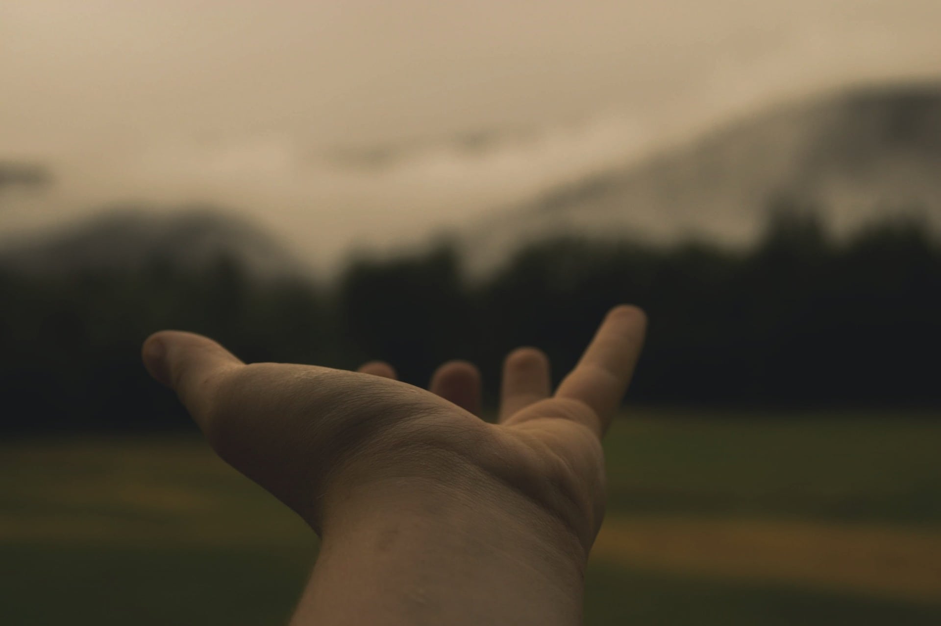 A photograph of a hand outstretched, palm up, with mountains in the background.